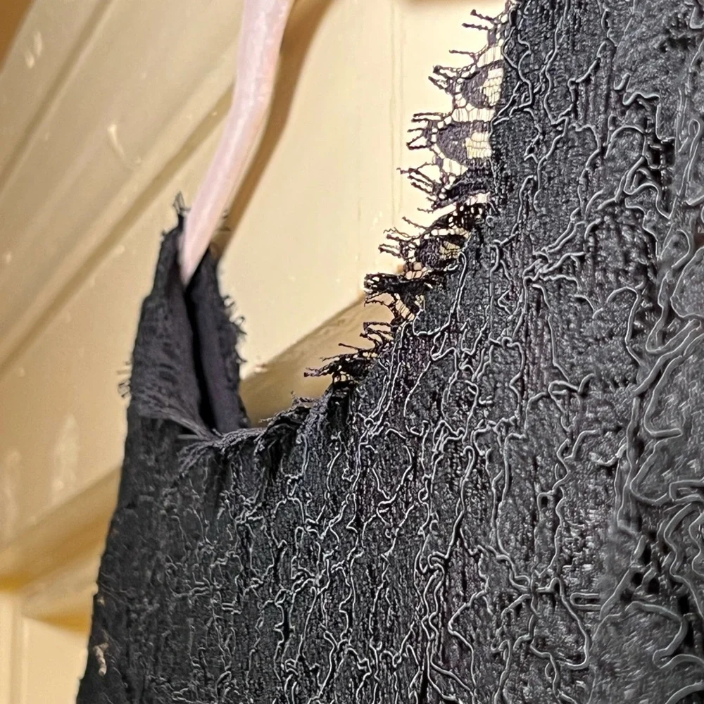 Diane Von Furstenberg Zarita Lace Mini Dress, size 10 MobWife RetroGlam Luxury - Picture 9 of 10